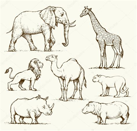 Image Of Animals For Drawing African Animals Vector Drawing — Stock