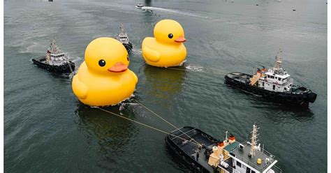 Two Giant Rubber Ducks Debut In Hong Kong In Bid To Drive Double Happiness