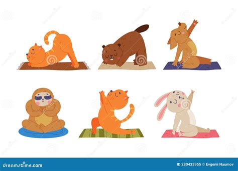 Funny Animal On Yoga Mat Practicing Asana And Stretching Vector