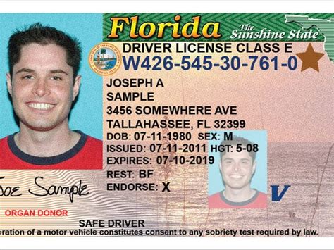 Florida Id Card Template Professional Sample Template