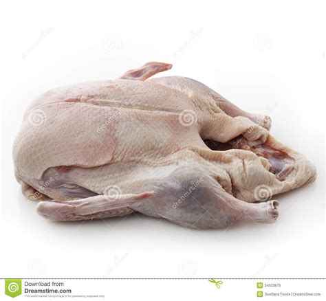 Raw Whole Duck stock image. Image of food, uncooked, closeup - 34503675