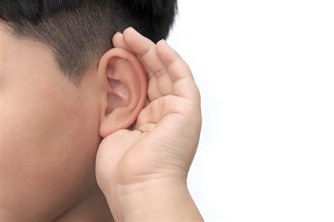 Our Ears Can Hear Differences In Sounds — Science Learning Hub