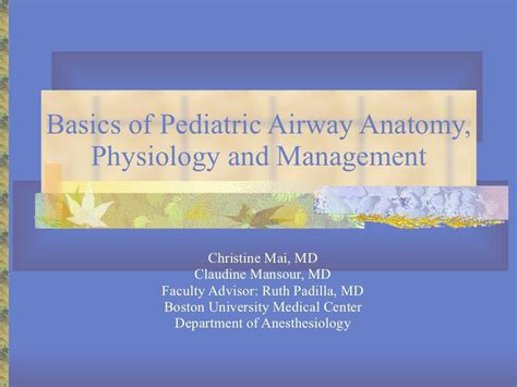 18 Basics Of Pediatric Airway Anatomy Physiology And Management