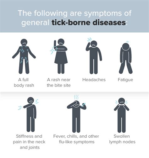 Treating Tick Borne Diseases Savehealth