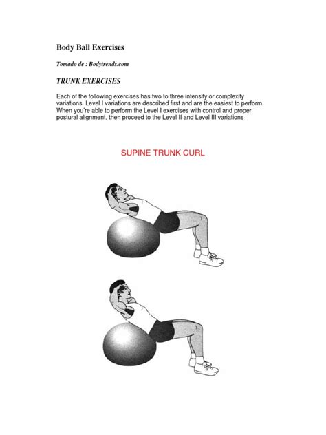 body ball exercises pdf