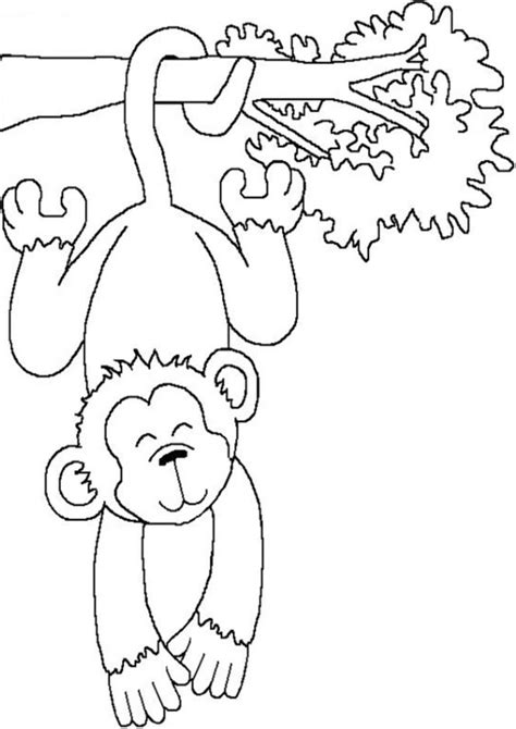 Monkey in a tree coloring pages. Free & Easy To Print Monkey Coloring Pages - Tulamama