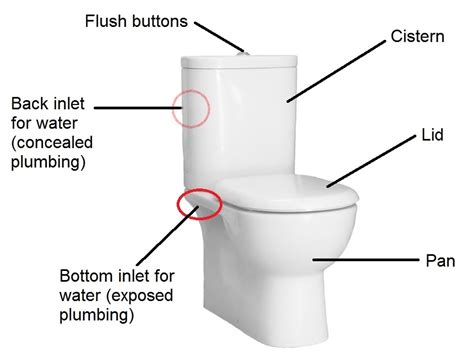 Toilet Training For Adults A Toilet Buying Guide With All Types Of Toilet The Sink Warehouse