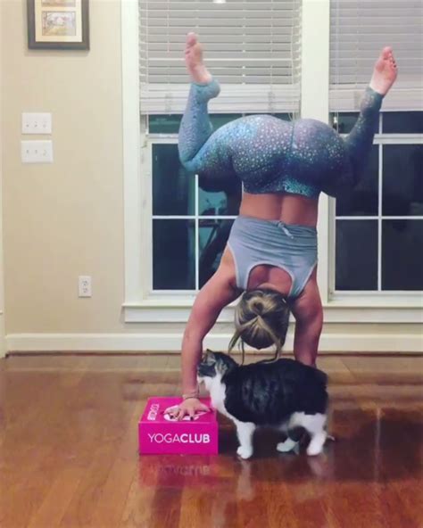 Handstands Cats Cute Yoga Pants Fitness Athleisure Outfits