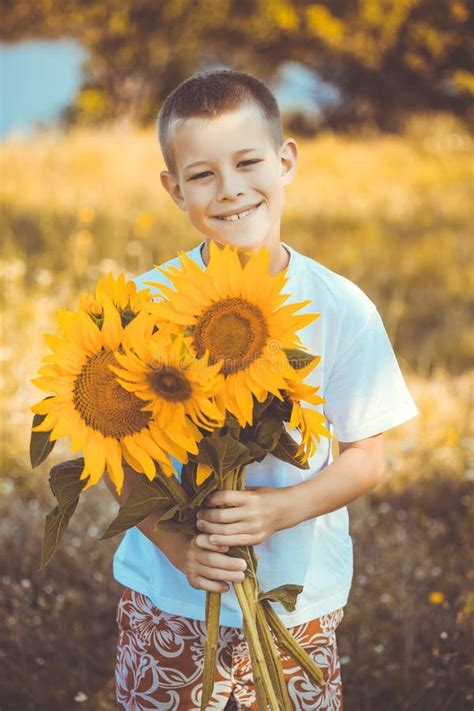 Happy Boy With Bouquet Of Sunflowers Against Summer Field Stock Photo