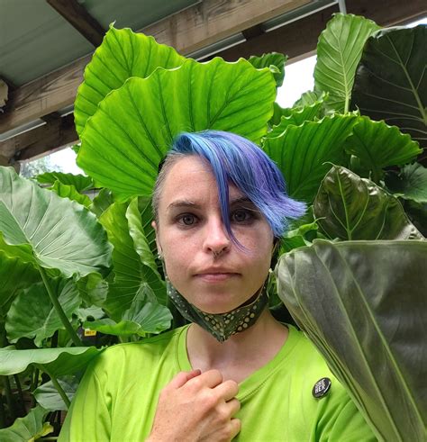 Naked At Work With These Giant Gorgeous Alocasia Scrolller