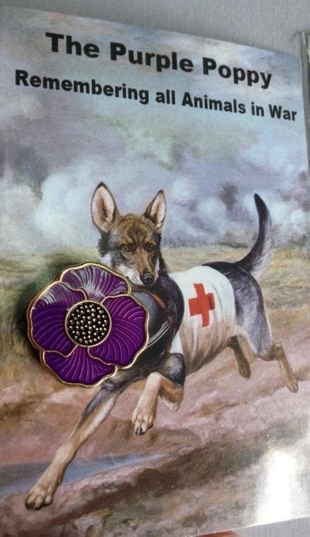 The Purple Poppy Lapel Pin Remembering Our Animals On Remembrance Day