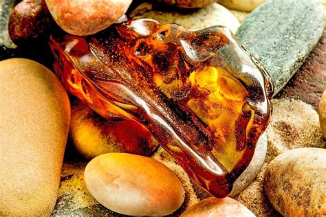 Amber Electrifying Beauty From 50 Million Years Ago Worldatlas