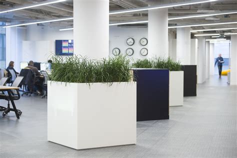 The Benefits Of Biophilic Design In The Workplace Planteria