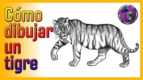 Cómo dibujar UN TIGRE How to draw A TIGER in 2021 Draw Tigre