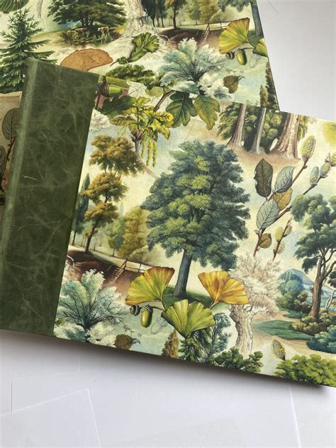 Bomo Photo Album The Mysterious Life Of Trees Large Paper Republic
