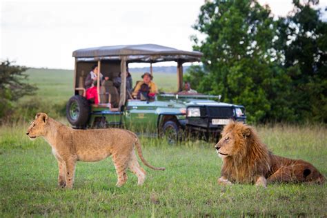 10 Best Kenya Safari Tours Our Top Picks Go2africa