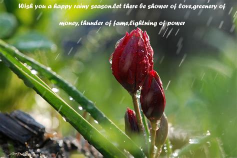 Beautiful Rain Drops Wallpapers With Quotes 52 Images