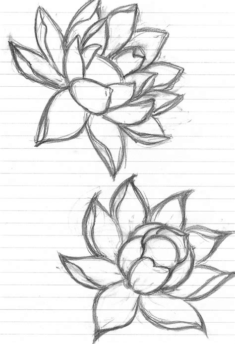 Lotus Tattoo Ideas By Meowle On Deviantart Flower Drawing Art