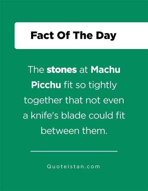 One of the new seven wonders of the world, machu picchu is hailed as an archaeologist's dream. The stones at Machu Picchu fit so tightly together that not even a knife's blade could fit ...