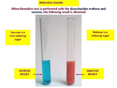 Food Testing For Sugar And Starch Benedicts Test