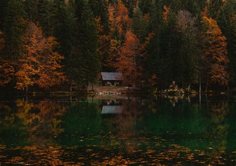 Lake Cabin Forest Wallpapers Wallpaper Cave