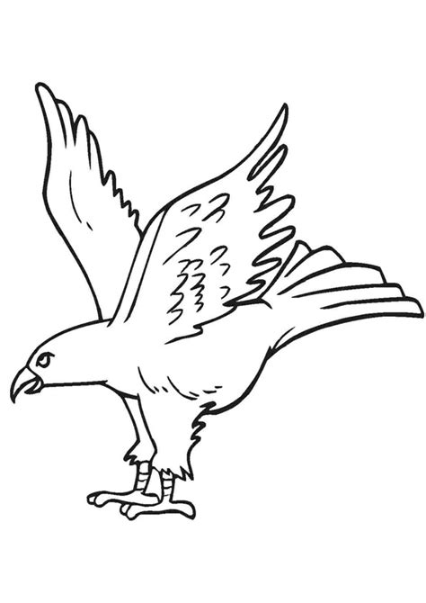 Coloring Pages Printable Eagle Coloring Sheet For Kids