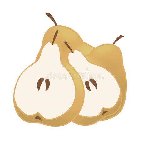 Pears Cut Green Pear Fruits Collection Of Hand Drawn Illustrations