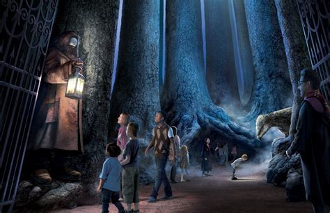 Harry Potter Forest Wallpapers Top Free Harry Potter Forest