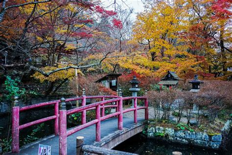 Visiter Nara Et Sa Région Destination Incontournable Du Japon