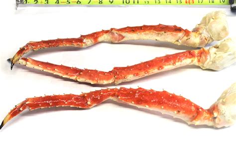 King Crab Legs Colossal Alaskan Reds 1 Lb Bag — Ec Wilson Meat 2 Go