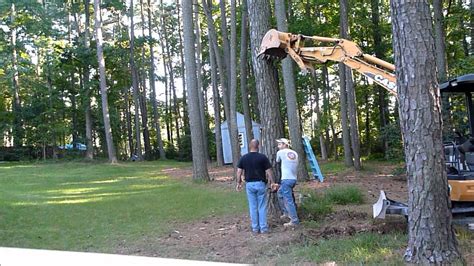 Here are some points that you might need to consider before estimating the cost of your tree removal. Big Dead Tree Removal - YouTube