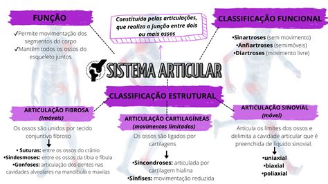 Sistema Articular Mapa Mental Anatomia Do Aparelho Locomotor