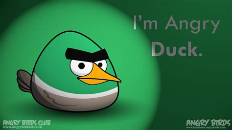 Обои от Madfive5 новые персонажи и новые ситуации Фан клуб Angry Birds