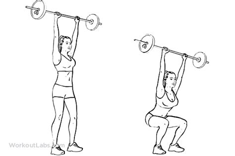 Barbell Overhead Squats Workoutlabs