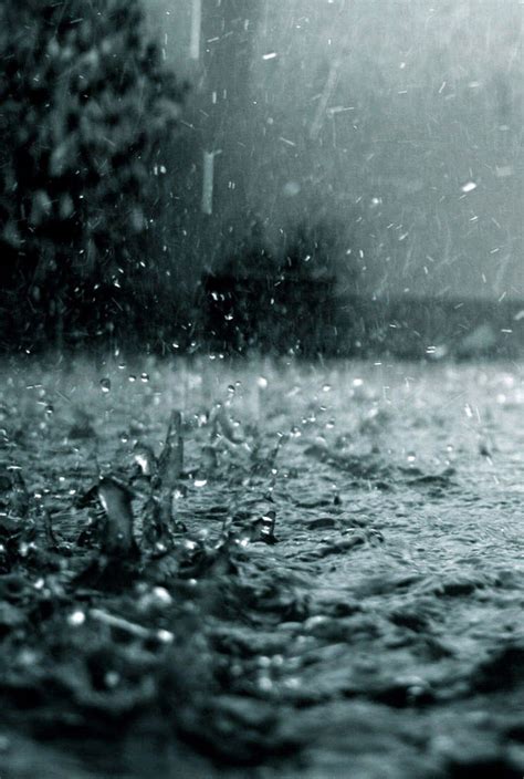 Los Mejores Fondos De Pantalla De Lluvia Rainy Day Photography Rain