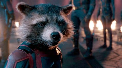 ‘guardians Of The Galaxy Vol 3’ A Talking Raccoon Made Me Cry News Sports Jobs The Express