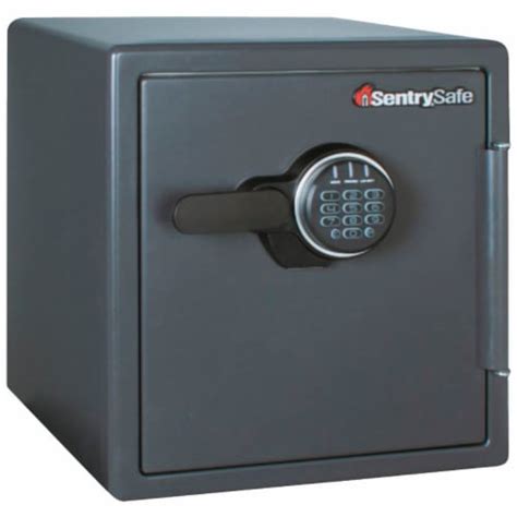 Sentry Safe 123 Cu Ft Capacity Combination Fire Safe Floor Safe