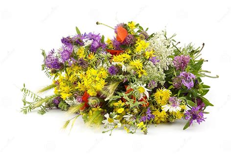 Bouquet Of Wild Flowers Stock Photo Image Of Wildflower 32261318