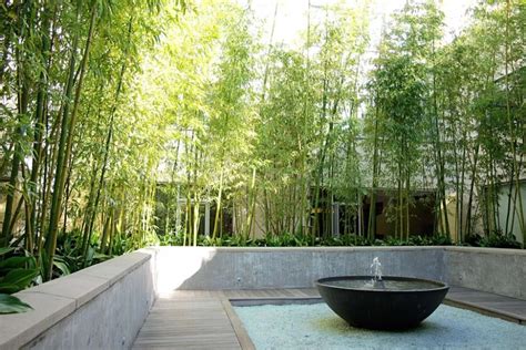 9 Desain Taman Indah Impian Semua Keluarga Bamboo Landscape Bamboo