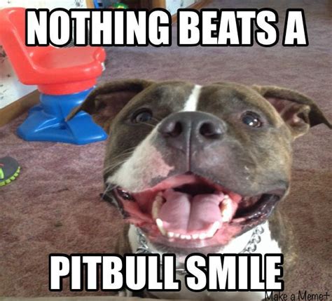 Nothing Beats A Pitbull Smile Dogs Pitbulls Funny Love