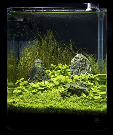 Nano 23 Fresh Water Fish Tank Aquarium Landscape Aquascape