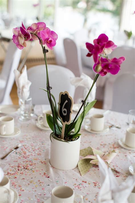 Simple Orchid Centerpieces Orchid Centerpieces Wedding Orchid