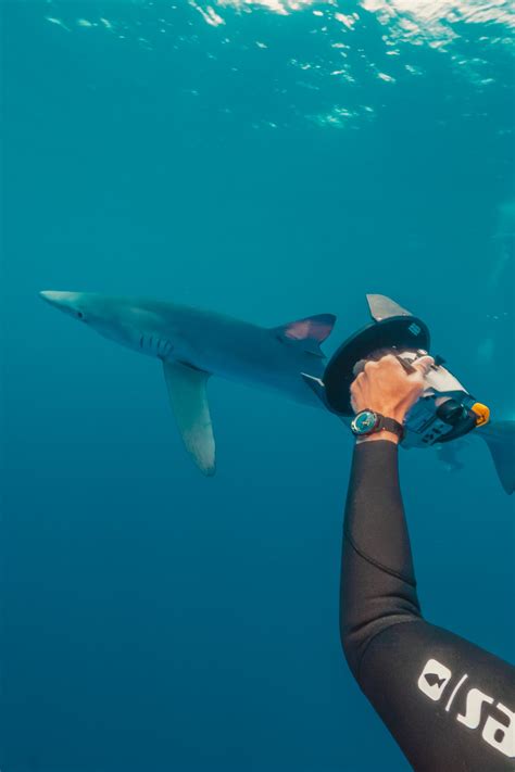 Ulysse Nardin Diver Lemon Shark Watch I Love