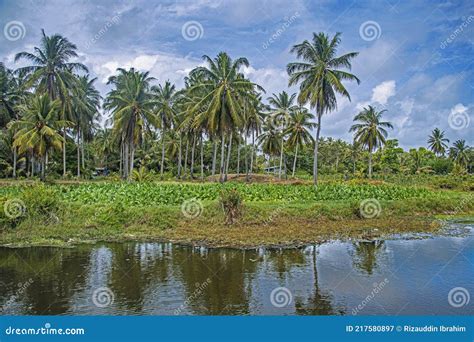 Scenery In The Rural District Of Malaysia Stock Image Image Of