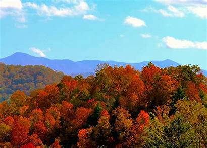 Carolina Mountains North Fall Colors Mountain Autumn