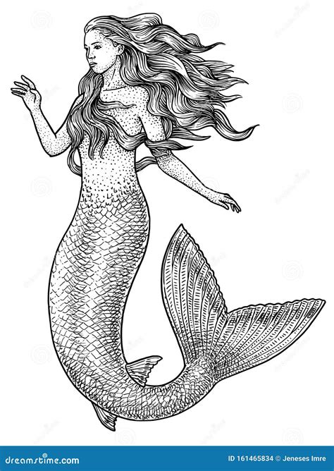 Mermaid Illustration Drawing Engraving Ink Line Art Vector 161465834