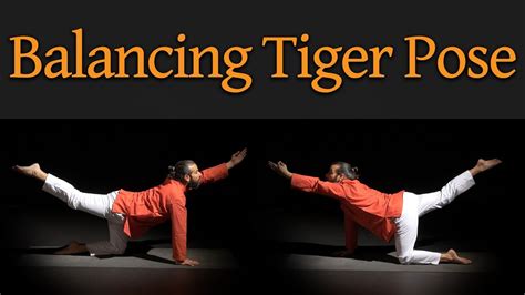 How To Do Balancing Tiger Pose Yogasana Youtube