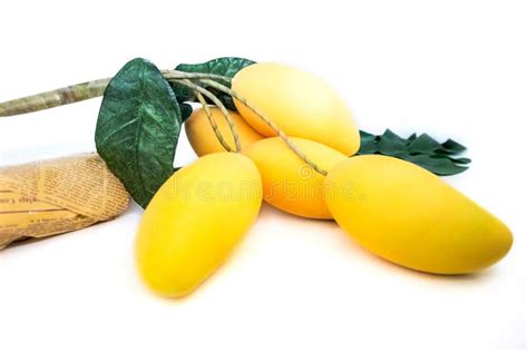Yellow Mango Fruit For Decoration Isolated On White Background Stock