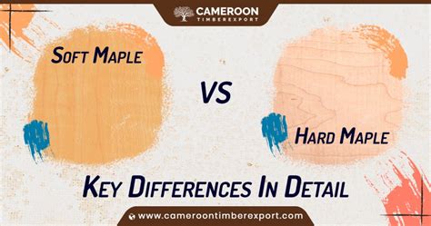 Soft Maple Vs Hard Maple Key Differences And Uses In Detail