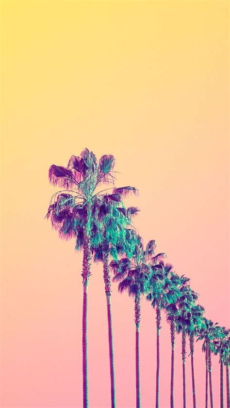 Matt Crump Palm And Coconut Tree I Likey Tumblr Iphone Wallpaper